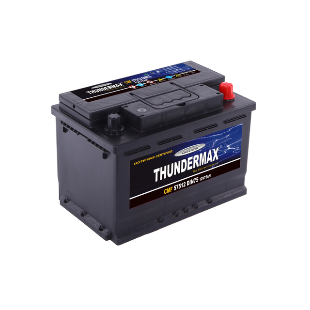 versiegelte Blei-S&auml;ure-Autobatterie